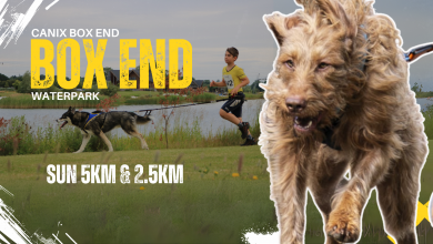 CaniX Box End 4/10/2026 (SUN 5KM)
